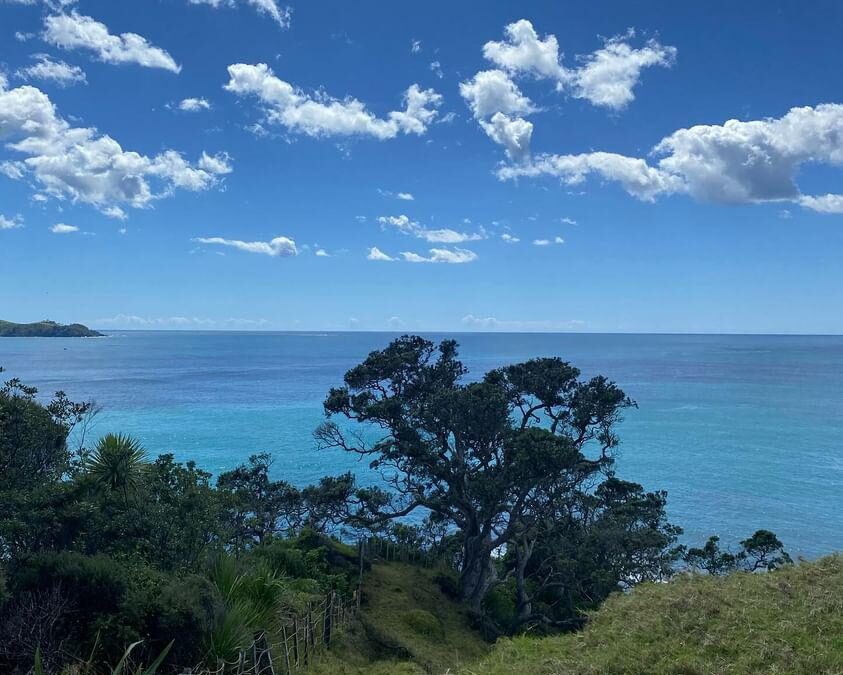 La vita agli antipodi: cronache dalla Nuova Zelanda